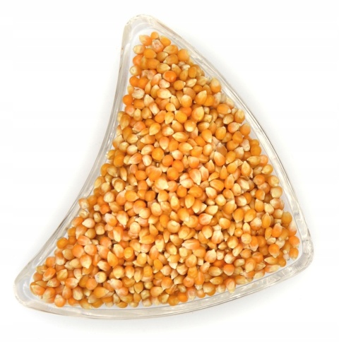 POPCORN ZIARNA KUKURYDZA 500g (0,5kg)